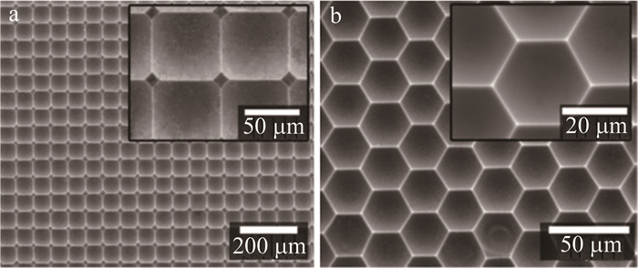 1685687209400421.jpg 40f33679e004bb172bad4f98508497cd_jgjs-47-3-345-11.jpg