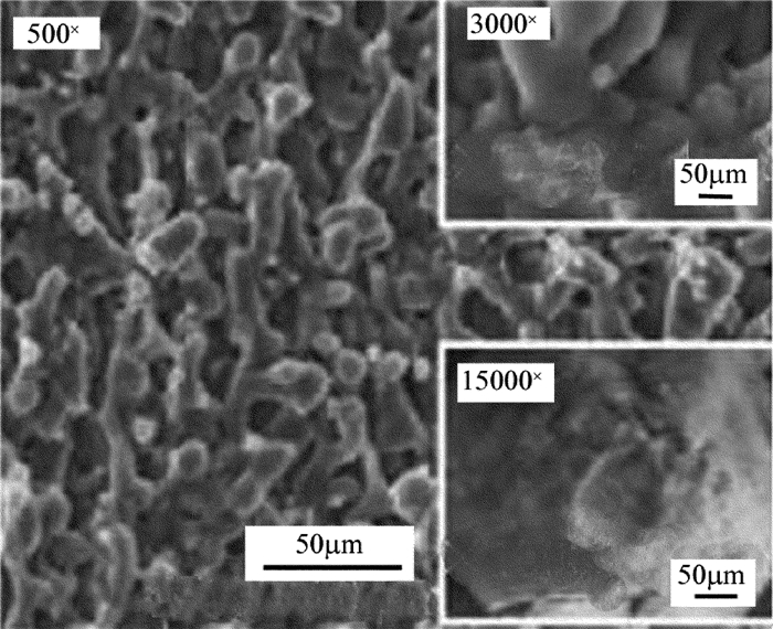 1685689199772995.jpg 4daaabcdaf8ff798aa6b41bab6c78554_jgjs-43-4-493-8.jpg