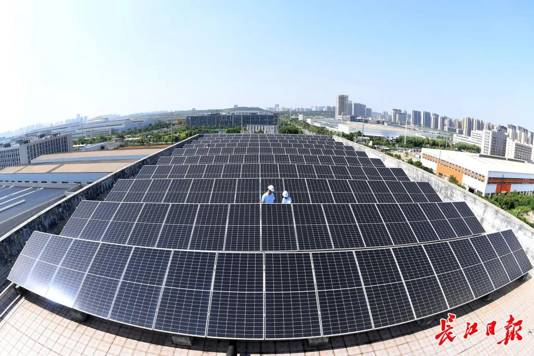 1740015861219080.jpg 640 (10).jpg